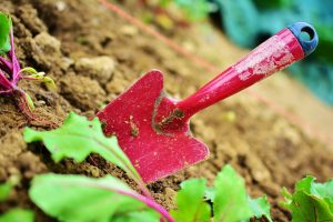 tuinonderhoud_in_de_herfst