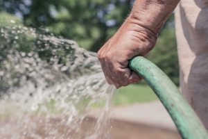 tuinonderhoud spijkenisse